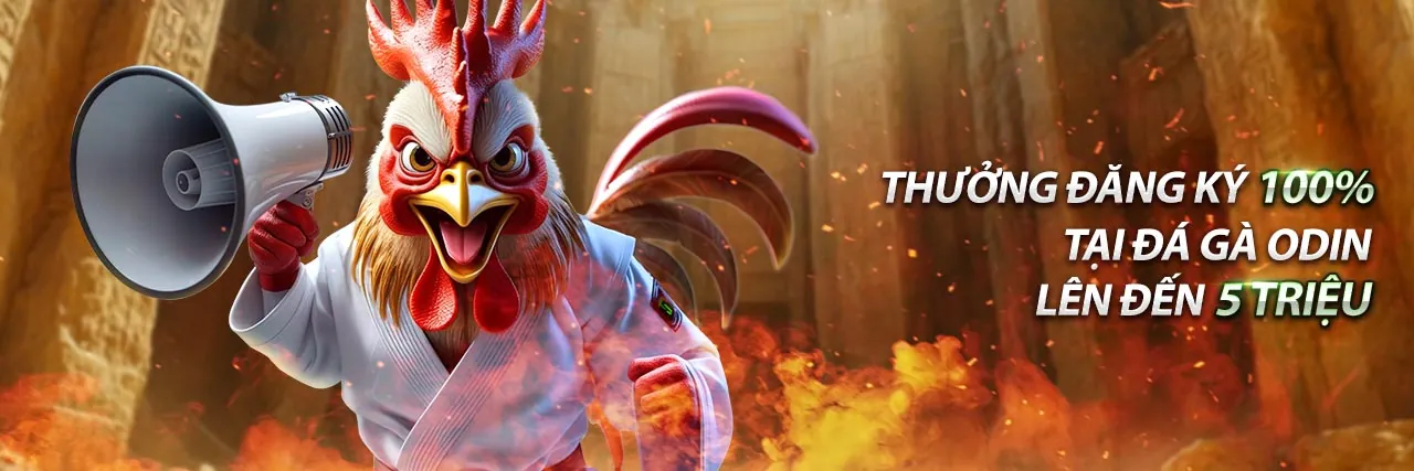 Hình ảnh chính sách quyền riêng tư của Opne88, bảo vệ dữ liệu người dùng